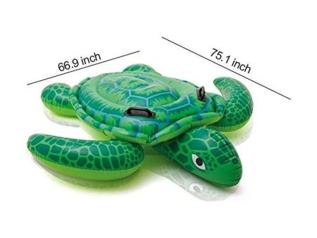 Sainteve Turtle Floater Sy 0347 Online Hot Sale