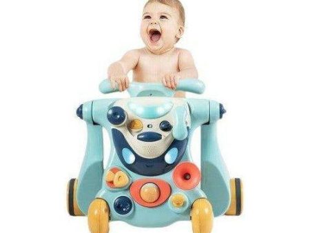 2In 1 Baby Walker Online Hot Sale