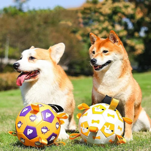 Dog Interactive Football Toys Children Soccer Dog Outdoor Training Balls Pet Sporty Bite Chew Teething Ball With Cute Printing Cheap